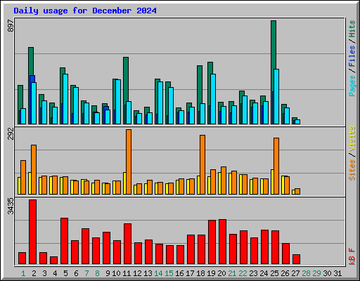 Daily usage for December 2024