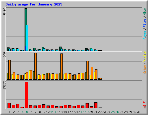 Daily usage for January 2025