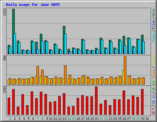 Daily usage for June 2025