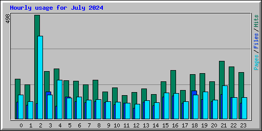 Hourly usage for July 2024