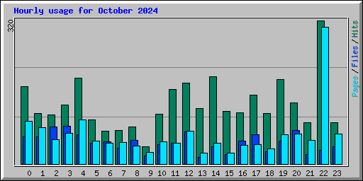 Hourly usage for October 2024