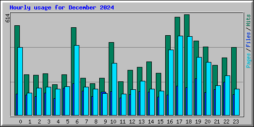 Hourly usage for December 2024