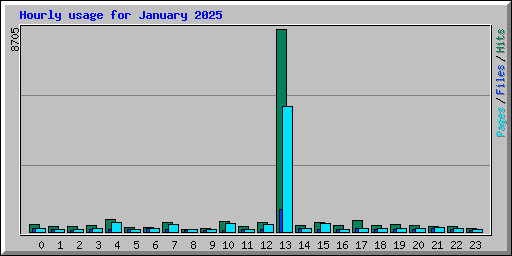 Hourly usage for January 2025