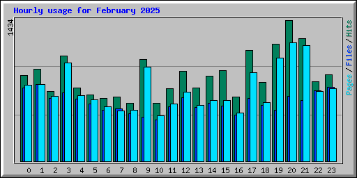 Hourly usage for February 2025