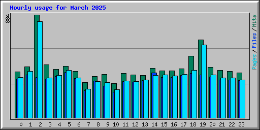 Hourly usage for March 2025