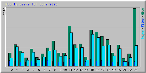 Hourly usage for June 2025