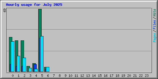 Hourly usage for July 2025