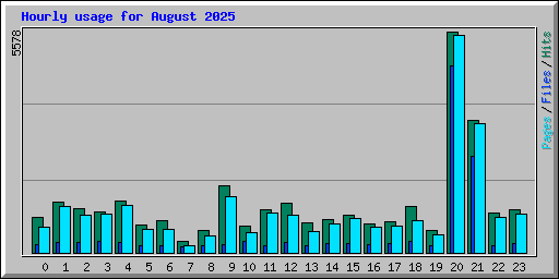 Hourly usage for August 2025