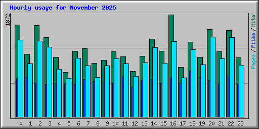 Hourly usage for November 2025