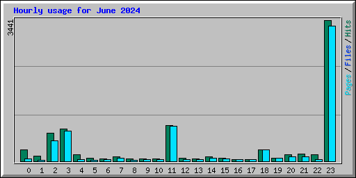 Hourly usage for June 2024