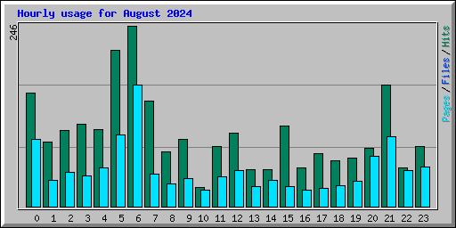 Hourly usage for August 2024