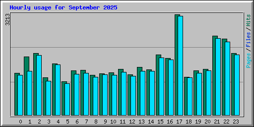 Hourly usage for September 2025