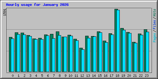 Hourly usage for January 2026