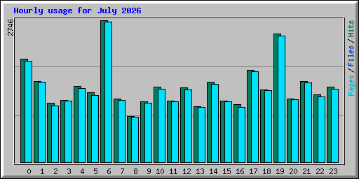 Hourly usage for July 2026